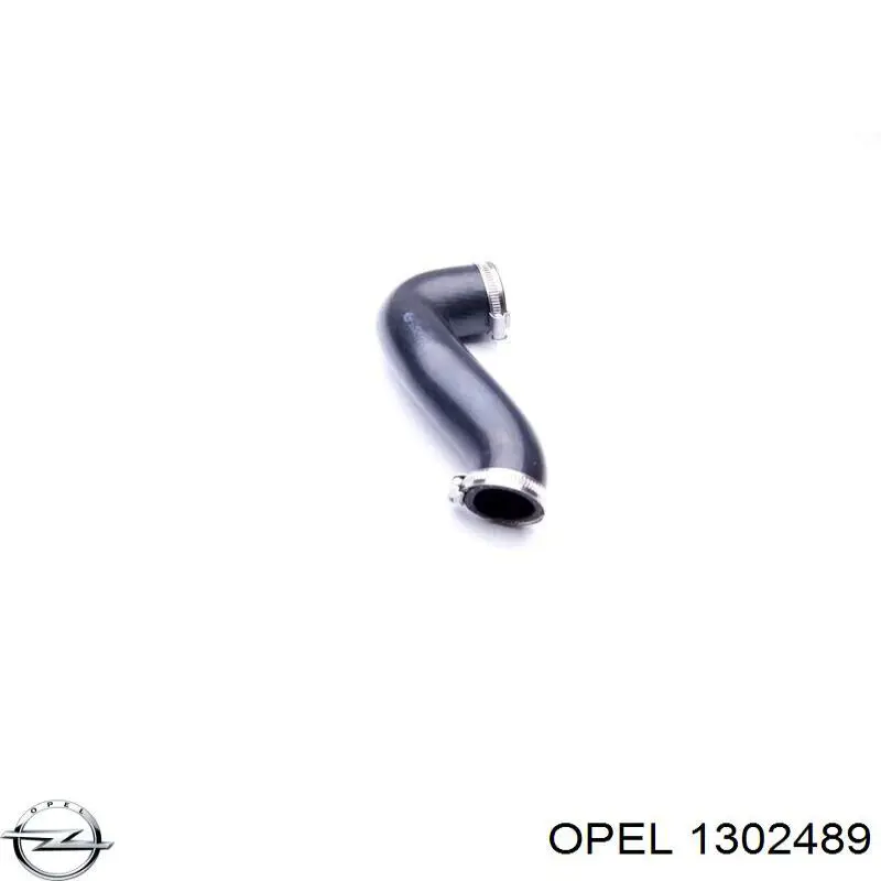 Manguera del intercooler Opel 1302489 precio, desde 16,21 EUR