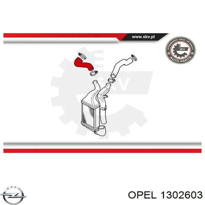 1302603 Opel