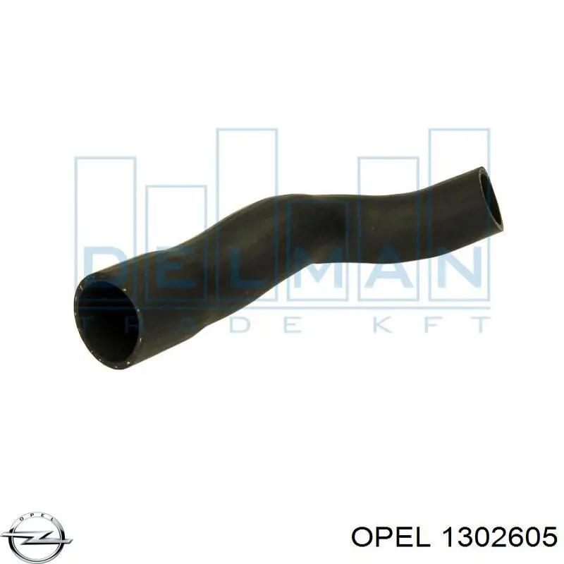 Tubo flexible de aire de sobrealimentación General Motors 24451329