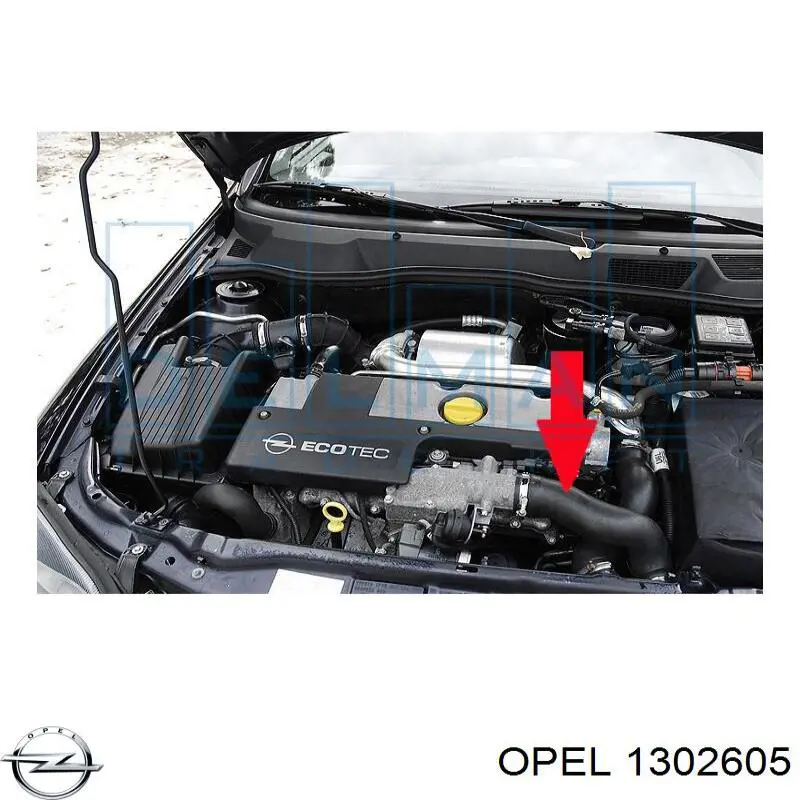 Manguera del intercooler General Motors 24451329 precio, desde 17,34 EUR