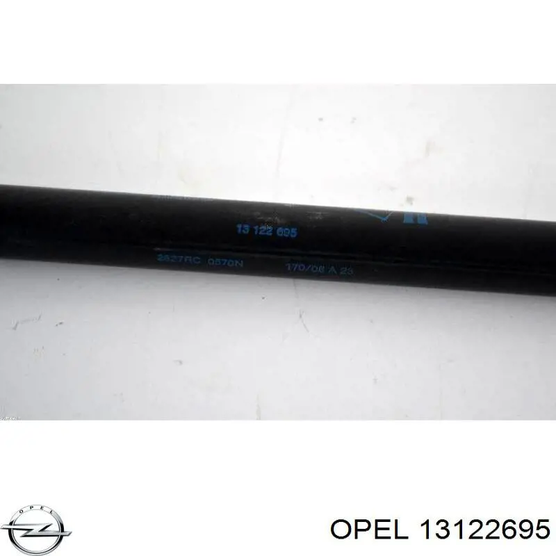 Comprar 13122695 Opel Amortiguador de puerta trasera
