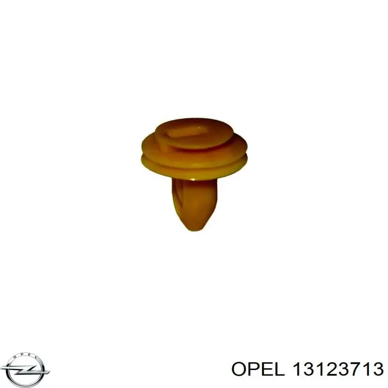 13123713 Opel