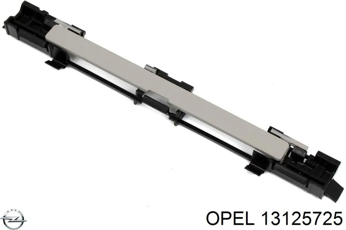 13125725 Opel tapa de guarnición de techo trasera