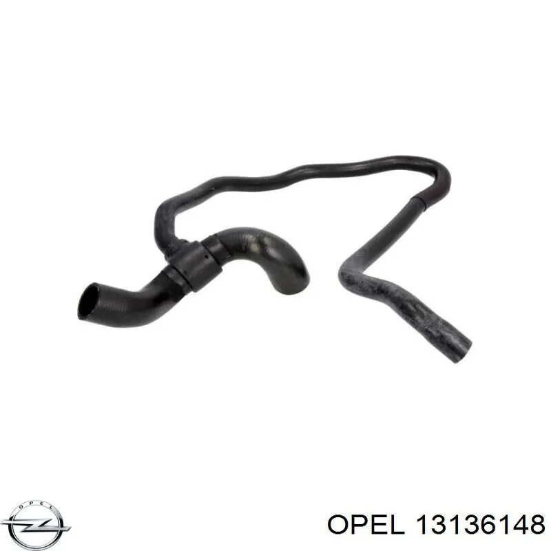 13136148 Opel manguera refrigerante para radiador inferiora