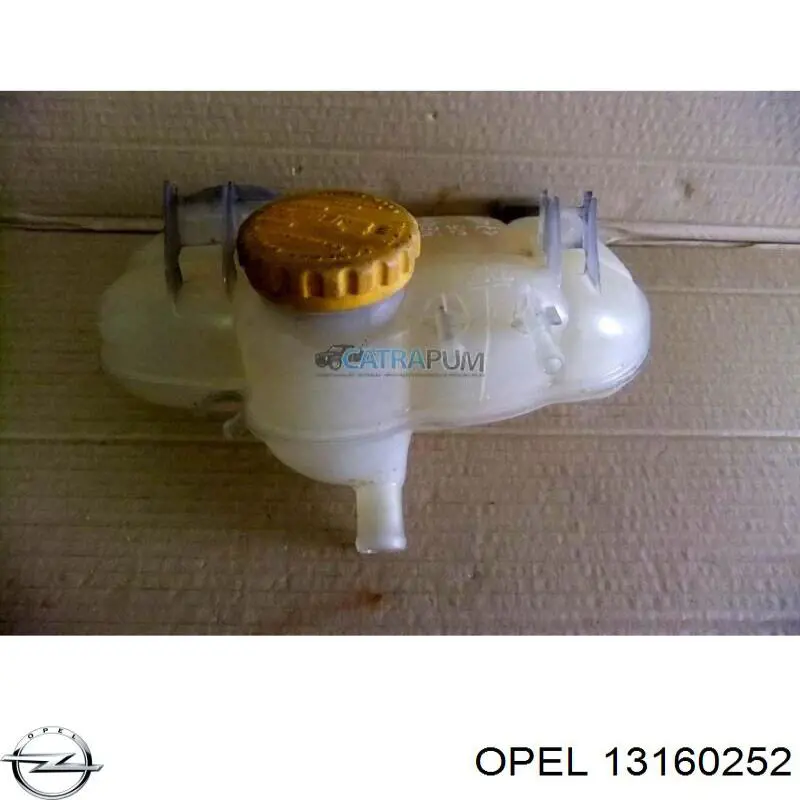 Comprar 13160252 Opel Deposito expansion