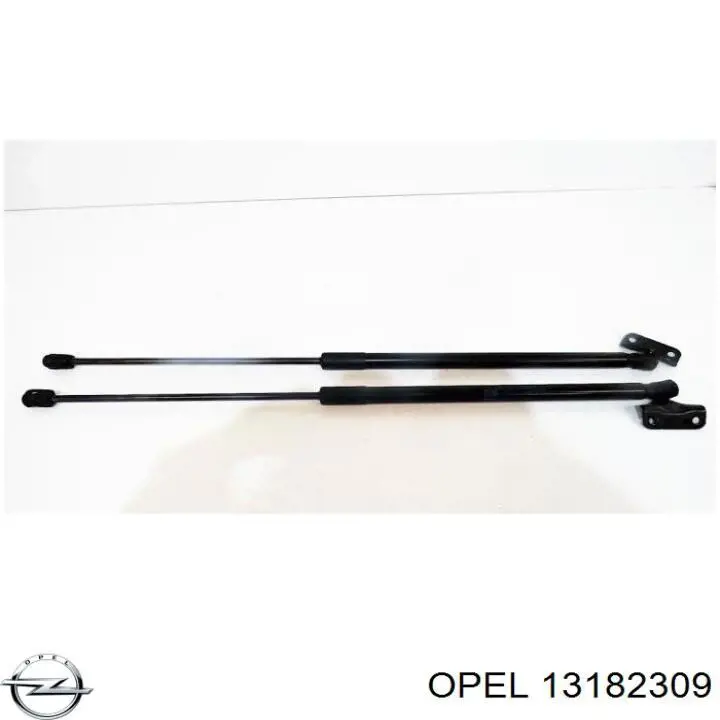 13182309 Opel Amortiguador de porton