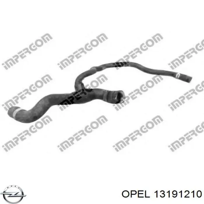 6336136 Opel manguera refrigerante para radiador inferiora