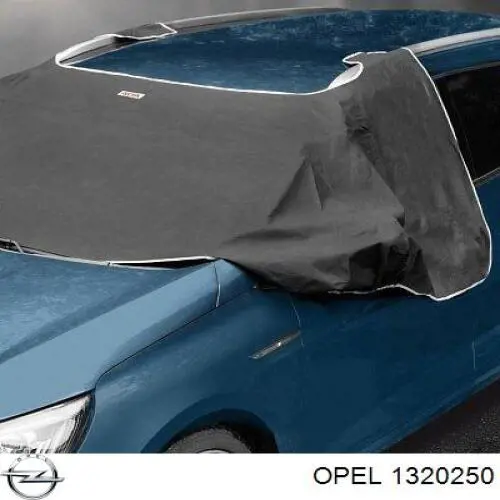 Rejilla delantera General Motors 95391779 precio, desde 84,22 EUR