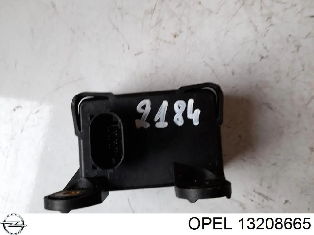 13208665 Opel 