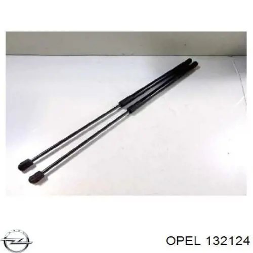 Comprar 132124 Opel Amortiguador de puerta trasera