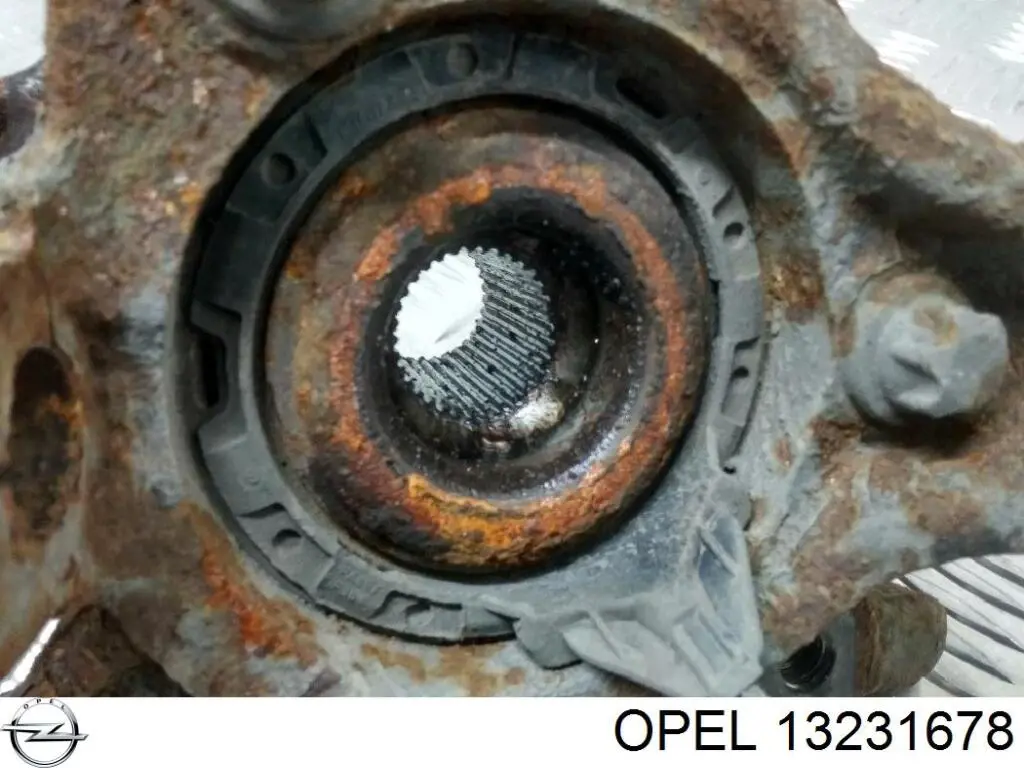 13231678 Opel Cubo delantero
