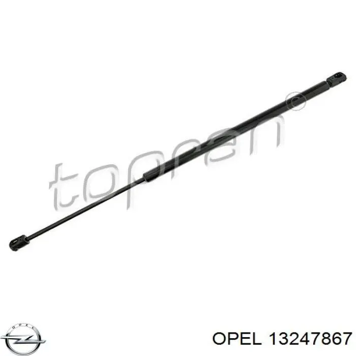 Comprar 13247867 Opel Amortiguador de puerta trasera