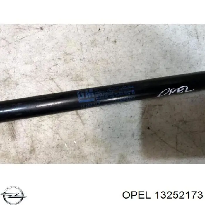 Muelle neumático, tapa delantera Opel 13252173 precio, desde 12,18 EUR