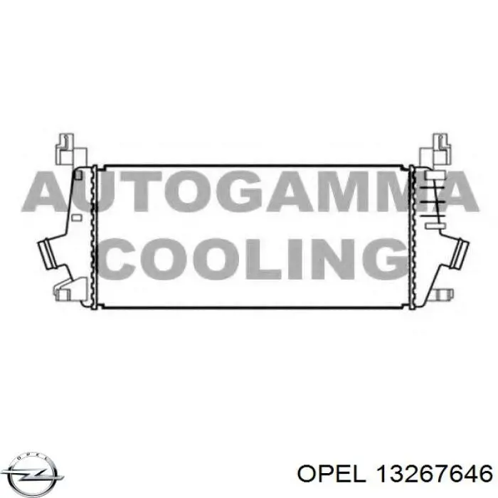 Radiador de aire de admisión Opel 13267646 precio, desde 61,71 EUR