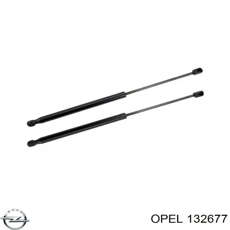 Amortiguador de maletero Opel 132677 precio, desde 11,75 EUR