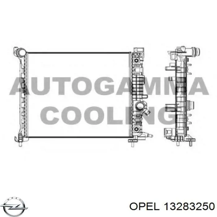 13283250 Peugeot/Citroen