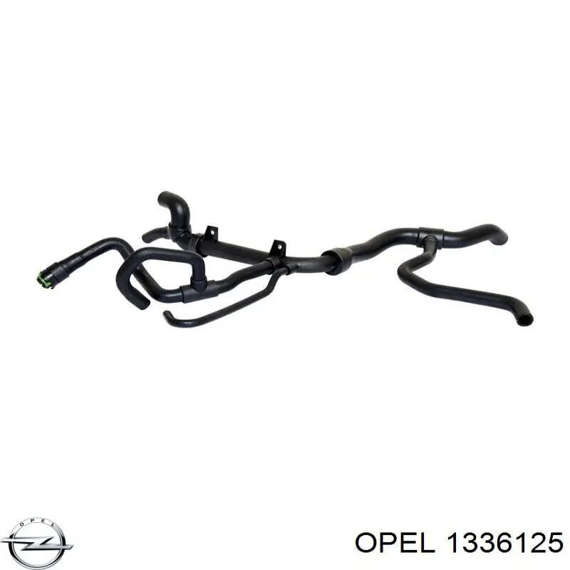 1336125 Opel manguera refrigerante para radiador inferiora