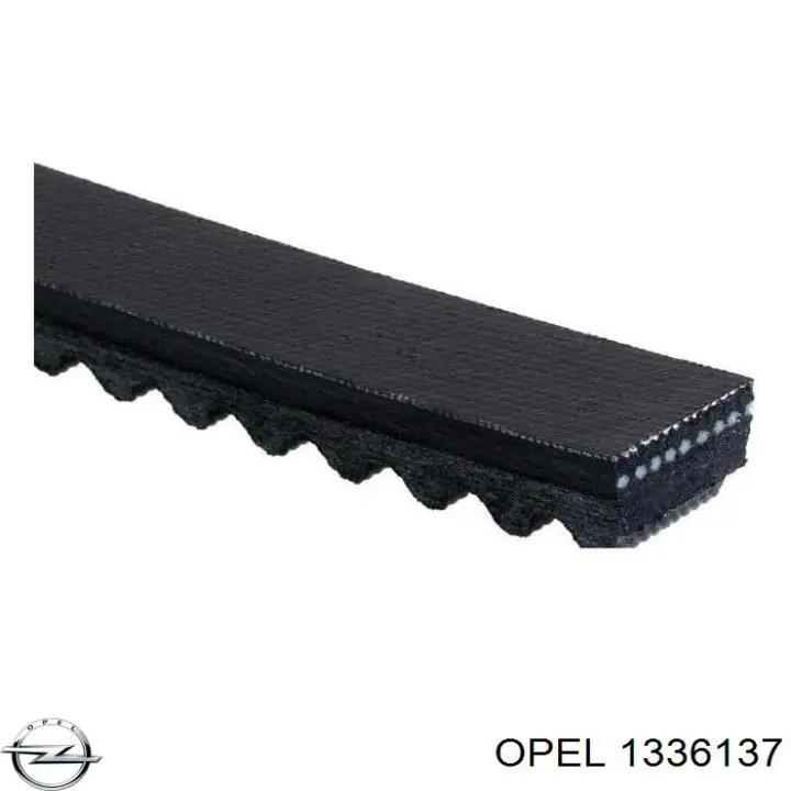 1336137 Opel manguera refrigerante para radiador inferiora