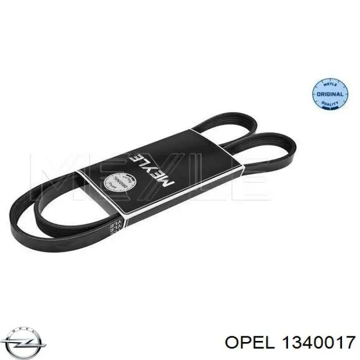 55562422 Peugeot/Citroen Correa poly v