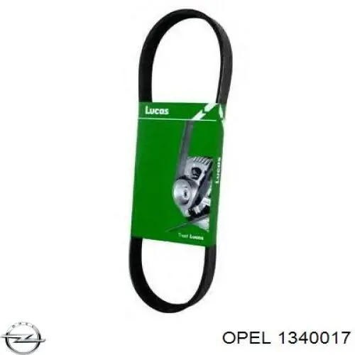 Correa de transmisión trapezoidal Peugeot/Citroen 55562422 precio, desde 8,58 EUR