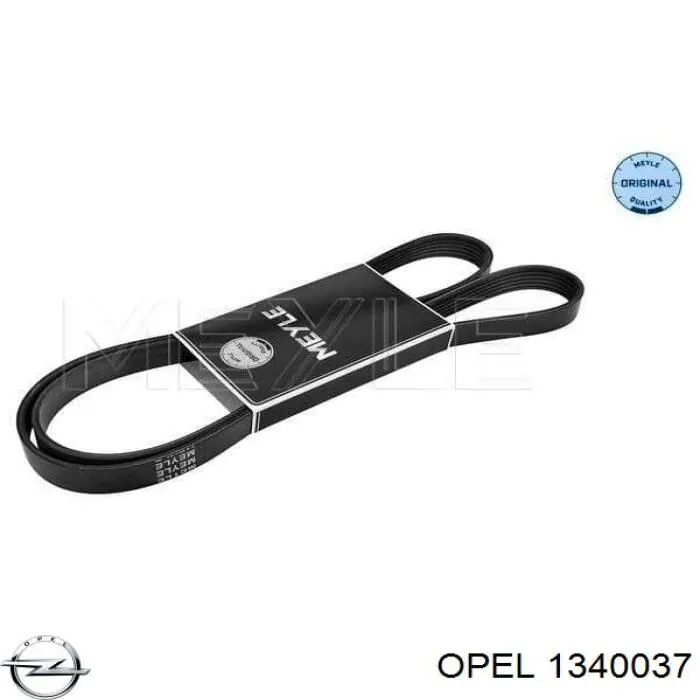 1340037 Opel correa trapezoidal