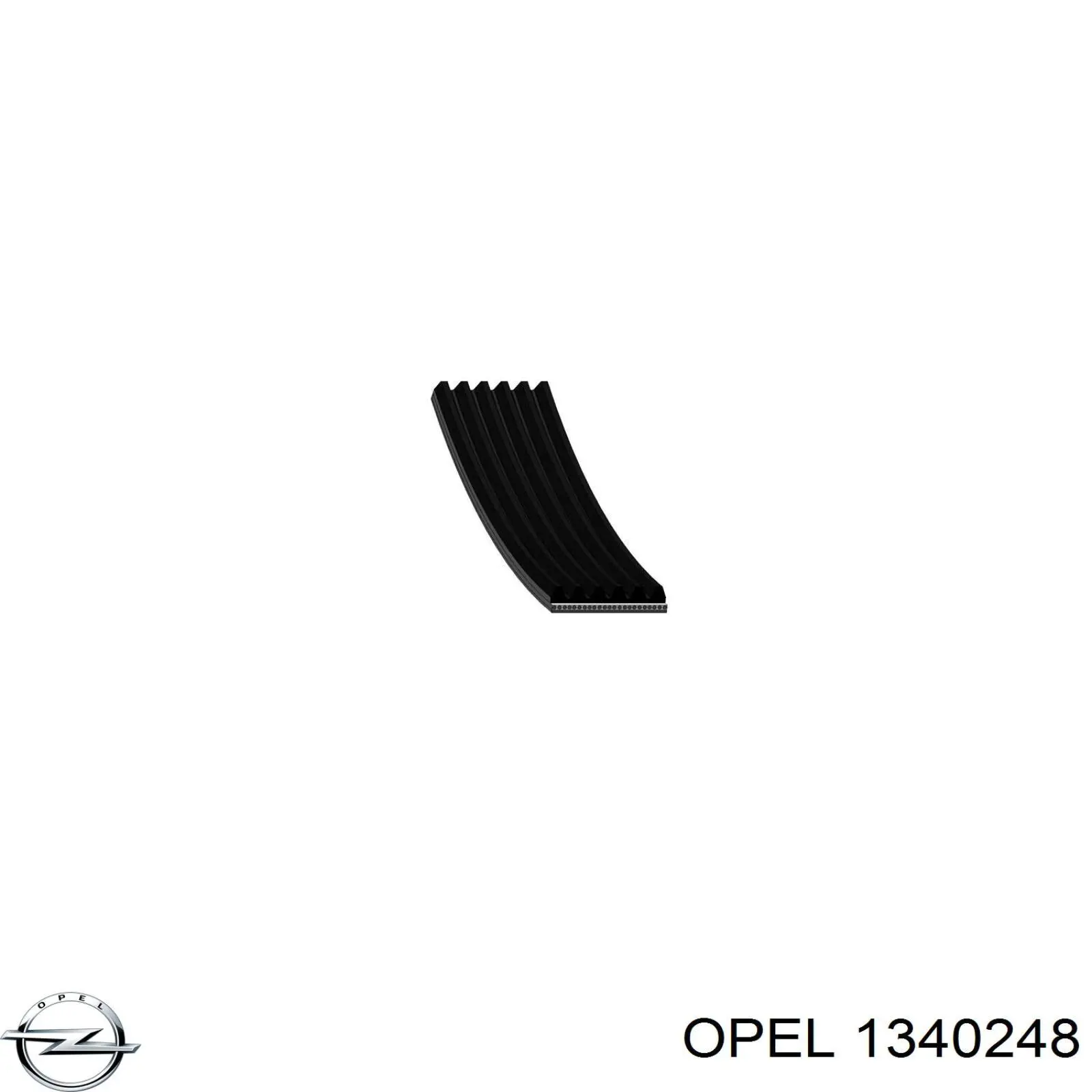 1340248 Opel correa trapezoidal