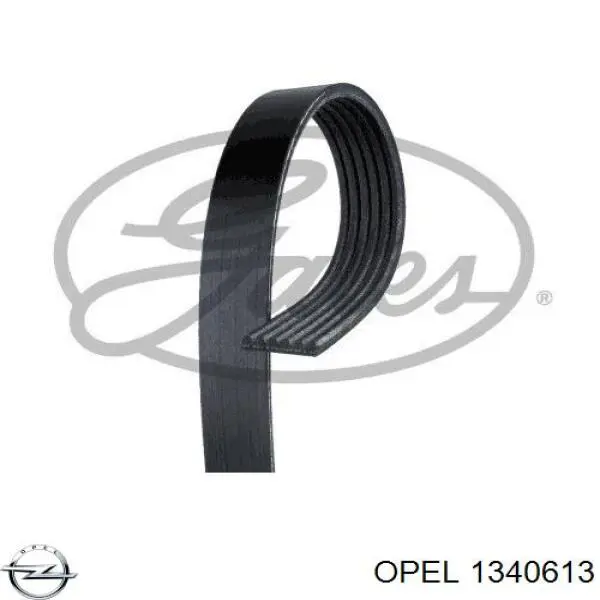 1340613 Opel correa trapezoidal