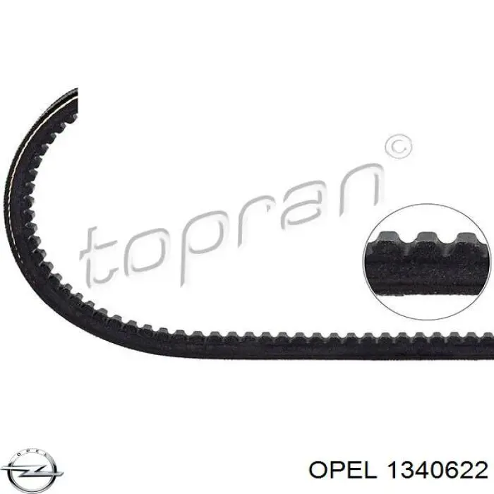 1340622 Opel correa trapezoidal