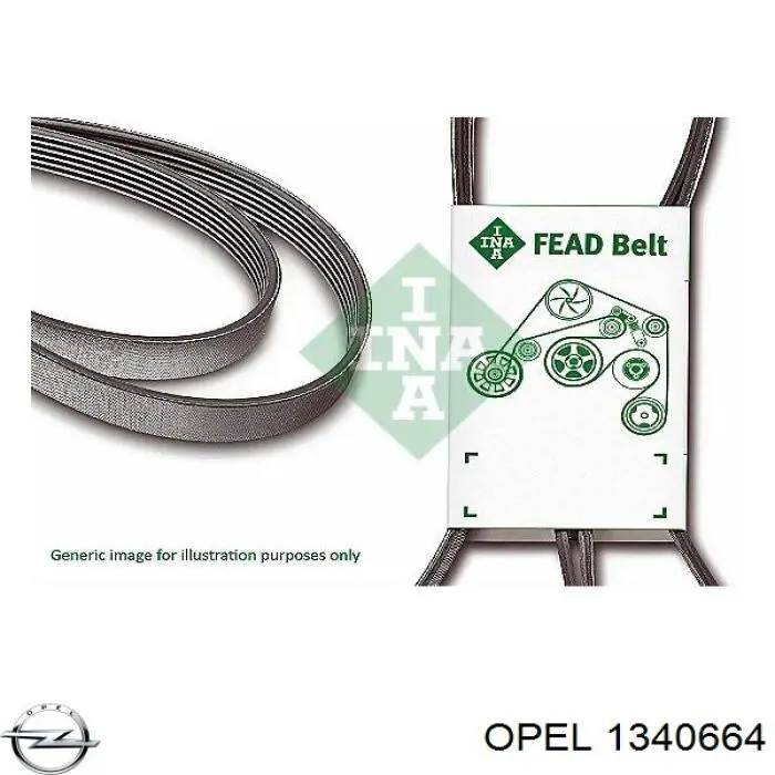 Correa trapezoidal Opel Astra 51, 52, F35, M35