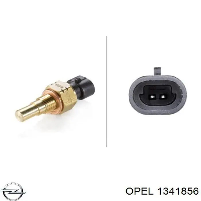 Sensor de temperatura del refrigerante Chevrolet Aveo 2 T250, T255