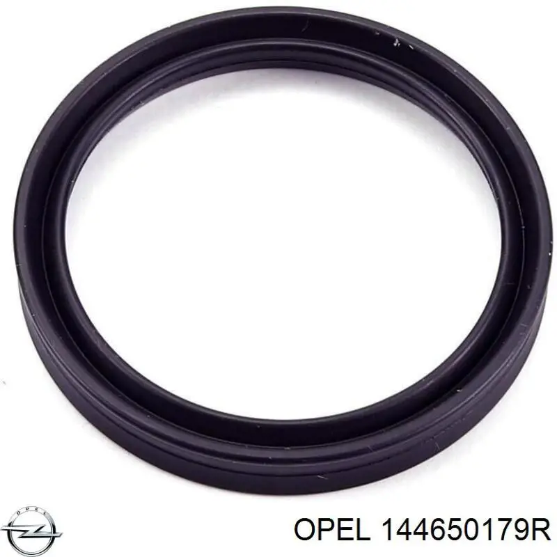 Junta tórica del tubo del intercooler Opel 144650179R precio, desde 13,67 EUR