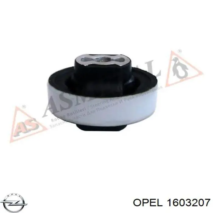 Fuelle de palier delantero exterior 500590 Trakmotive/Surtrack