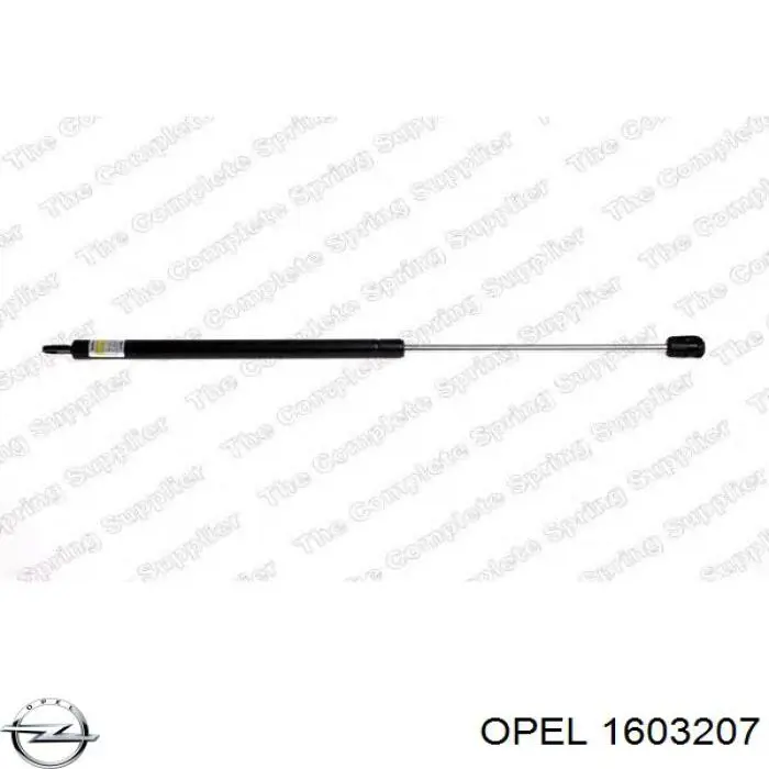 Fuelle semieje delantero exterior Trakmotive/Surtrack 500590