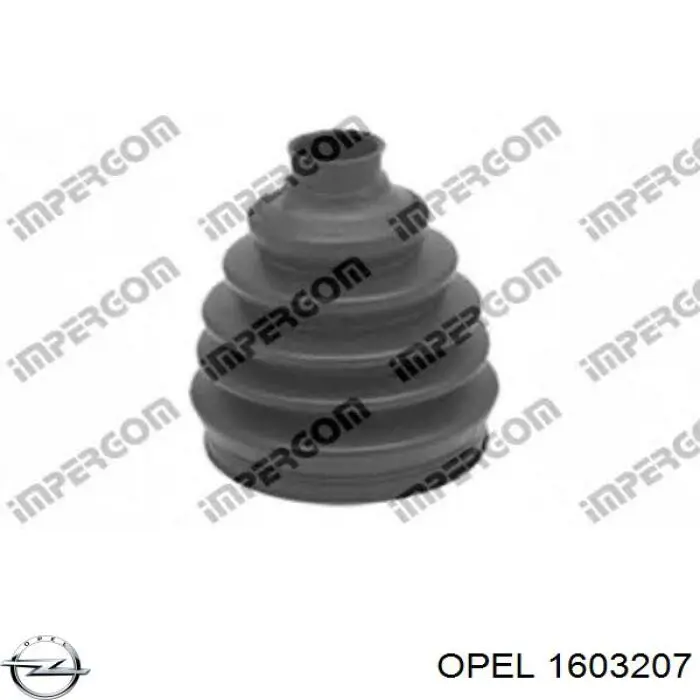 Comprar 500590 Trakmotive/Surtrack Fuelle de palier delantero exterior