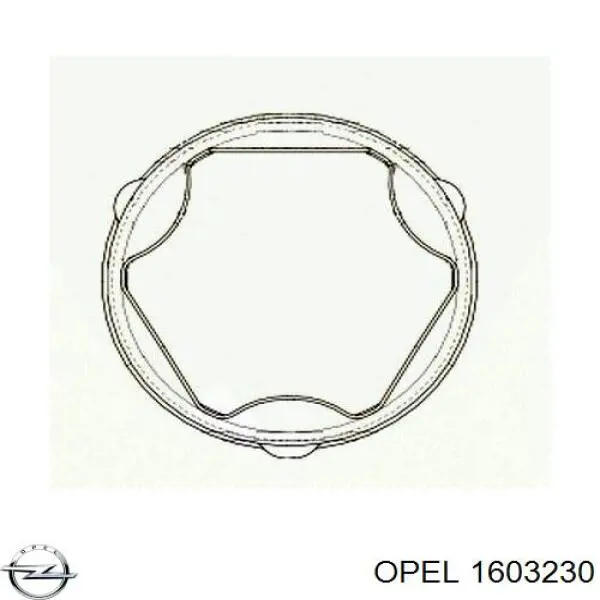 Fuelle transmisión delantero exterior Opel 1603230 precio, desde 7,93 EUR