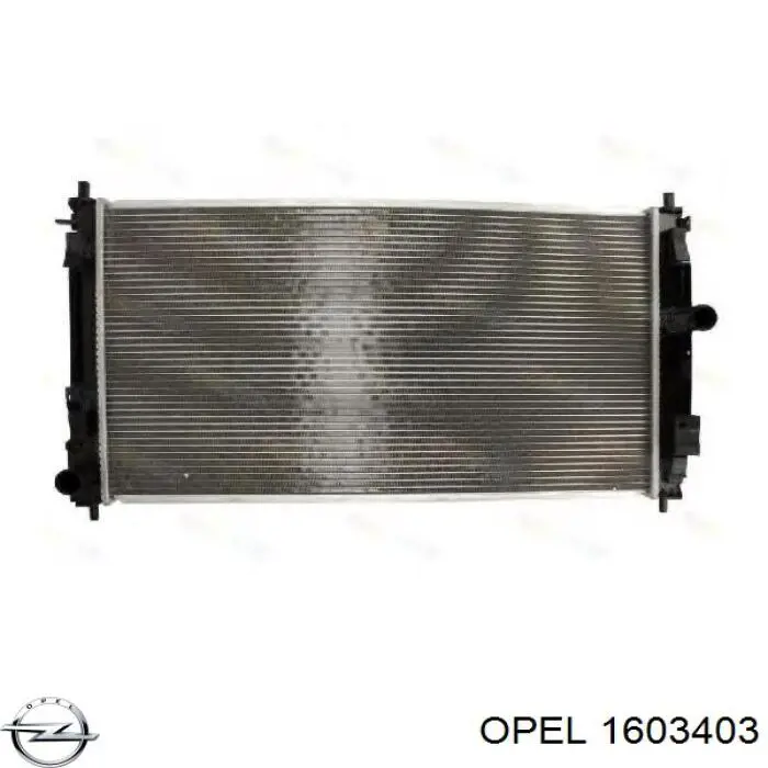 1603403 Opel junta homocinética exterior delantera