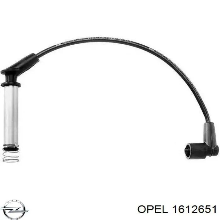 1612651 Opel juego de cables de encendido