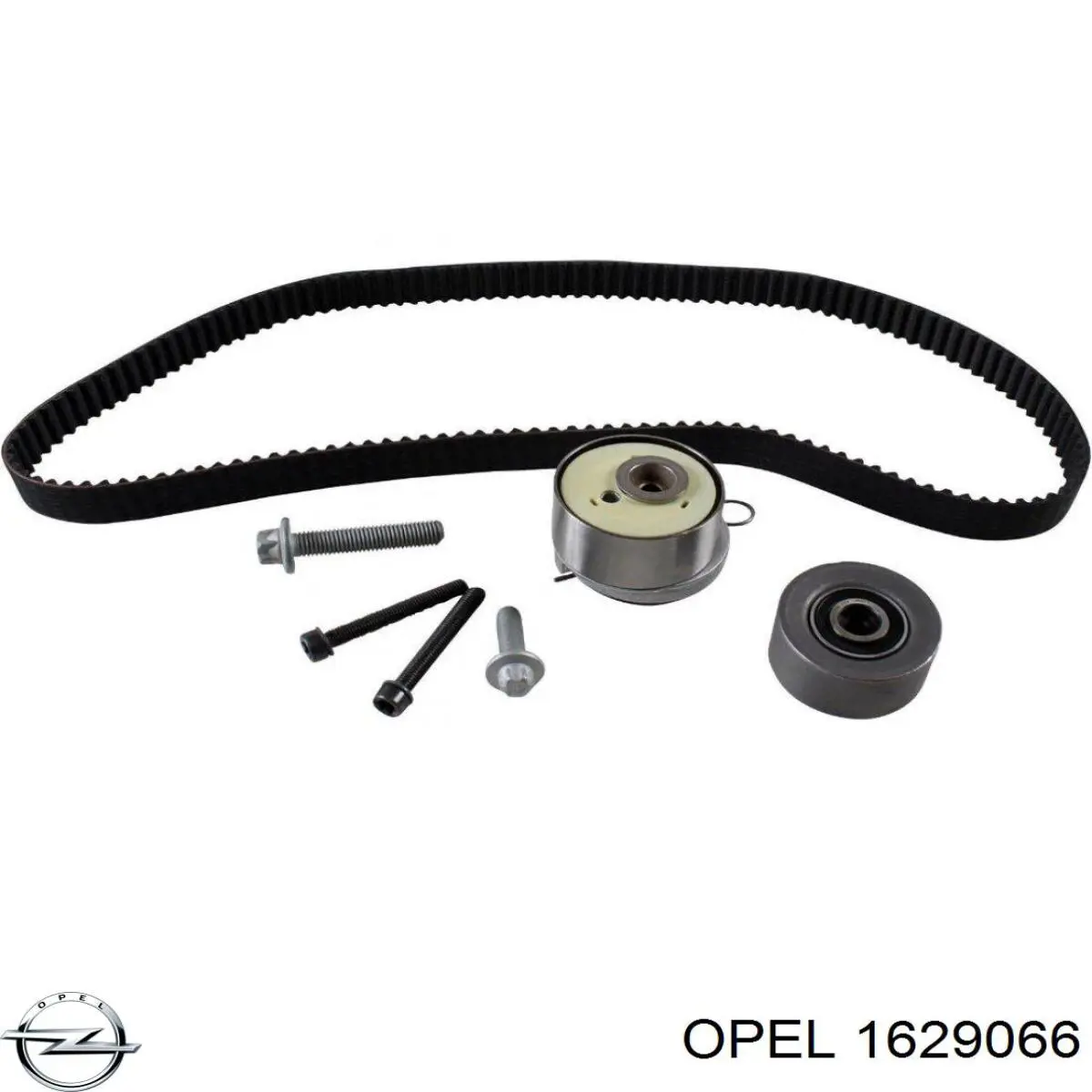 1629066 Opel kit de correa de distribución