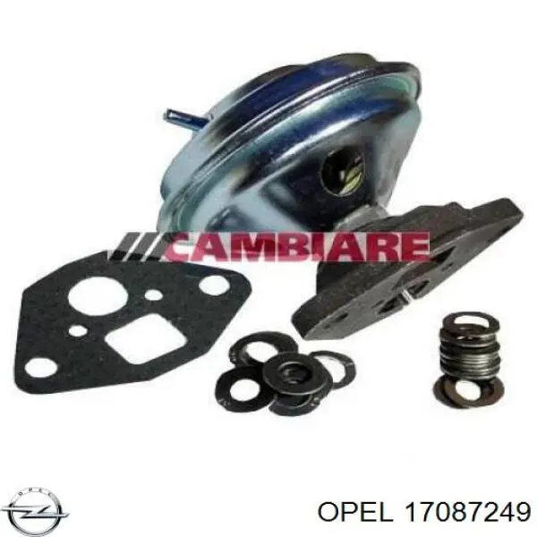 Comprar 17087249 Opel Válvula EGR