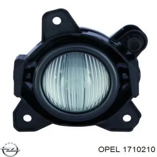 Faro antiniebla derecho Opel 1710210 precio, desde 68,24 EUR