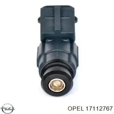 17112767 Opel inyector de combustible