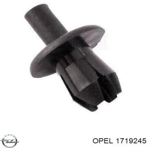 1719245 Opel clips de fijación de pasaruedas de aleta delantera