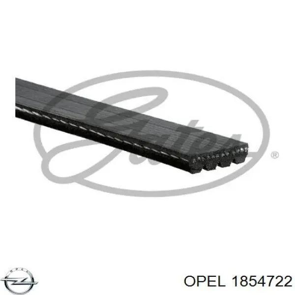 1854722 Opel correa trapezoidal