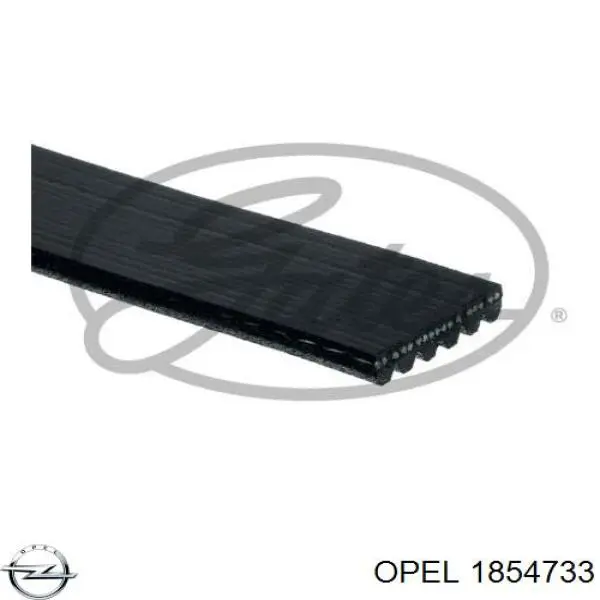 1854733 Opel correa trapezoidal