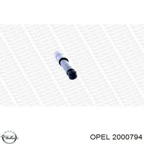872569 Peugeot/Citroen 