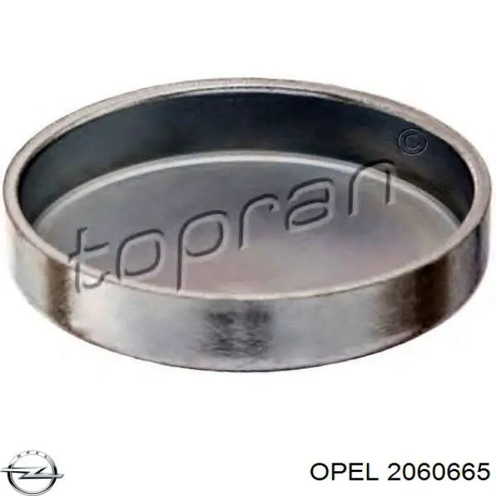 2060665 Opel tapón de culata
