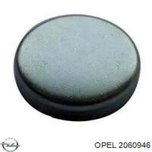 Comprar 2060946 Opel Tapon culata