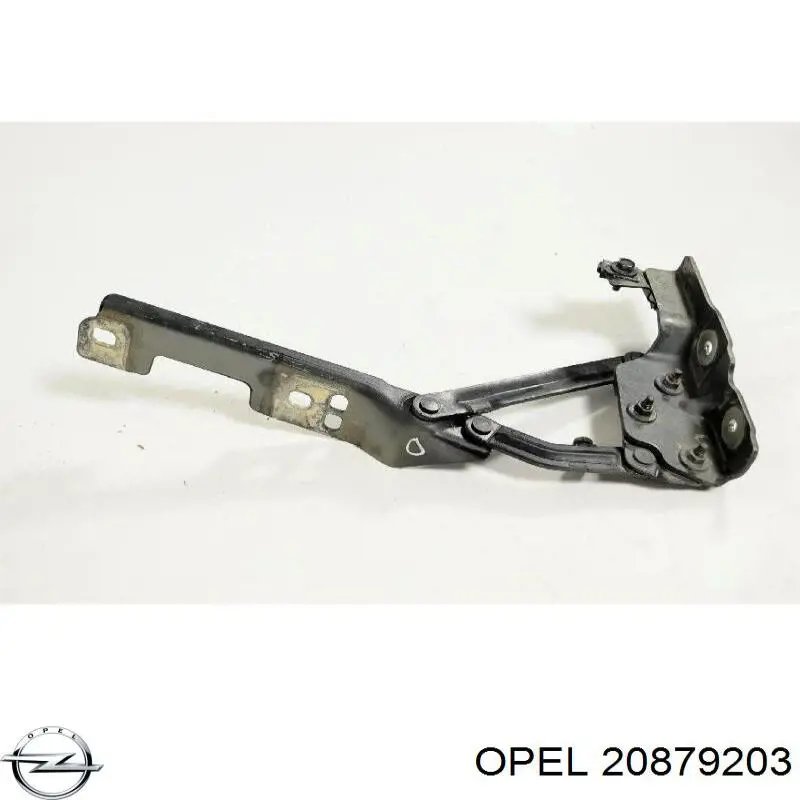 Bisagra derecha del capó Opel 20879203 precio, desde 47,92 EUR