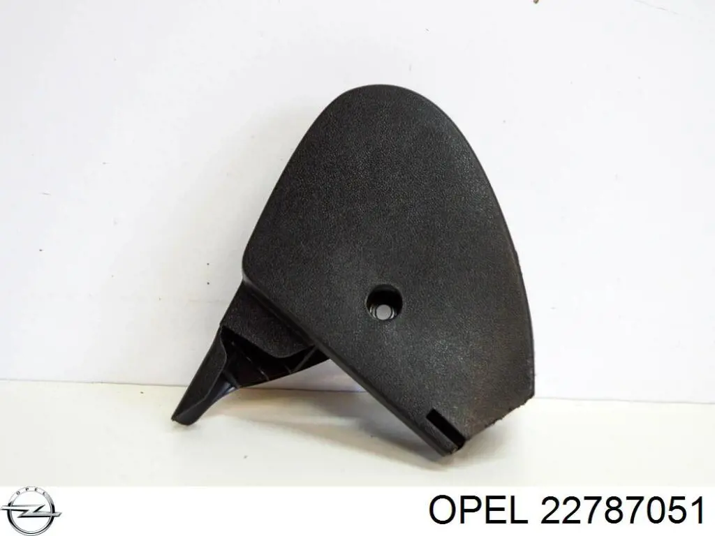22787051 Opel Embellecedor izquierdo del parachoques delantero