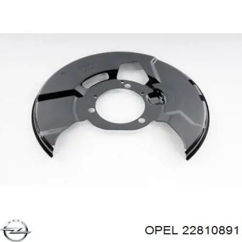 Protector de disco de freno delantero derecho Opel 22810891 precio, desde 18,13 EUR